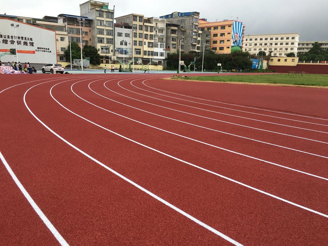 丽水市EPDM颗粒塑胶跑道材料 - 推荐